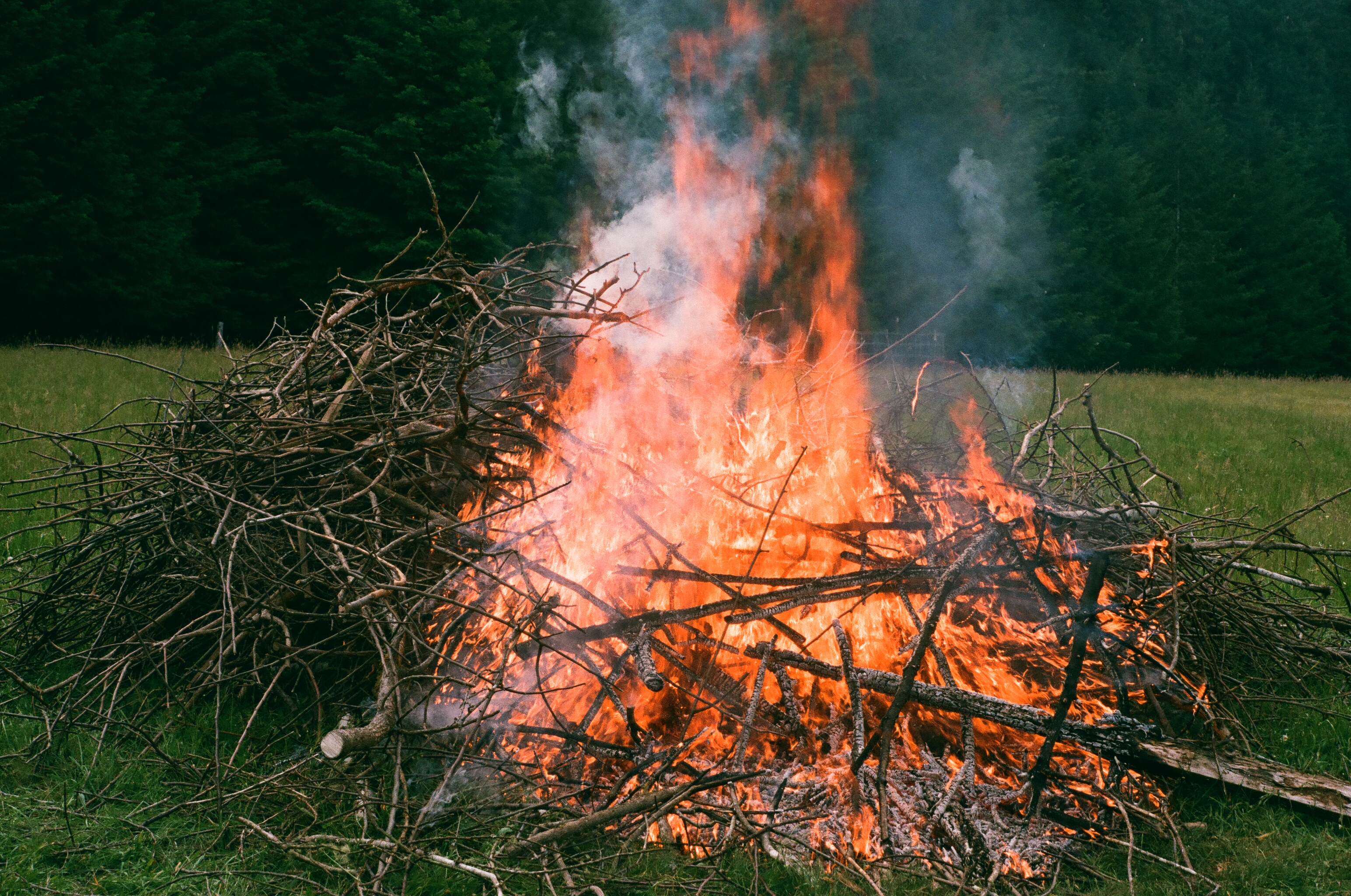 a large controlled fire in a green wooded area
