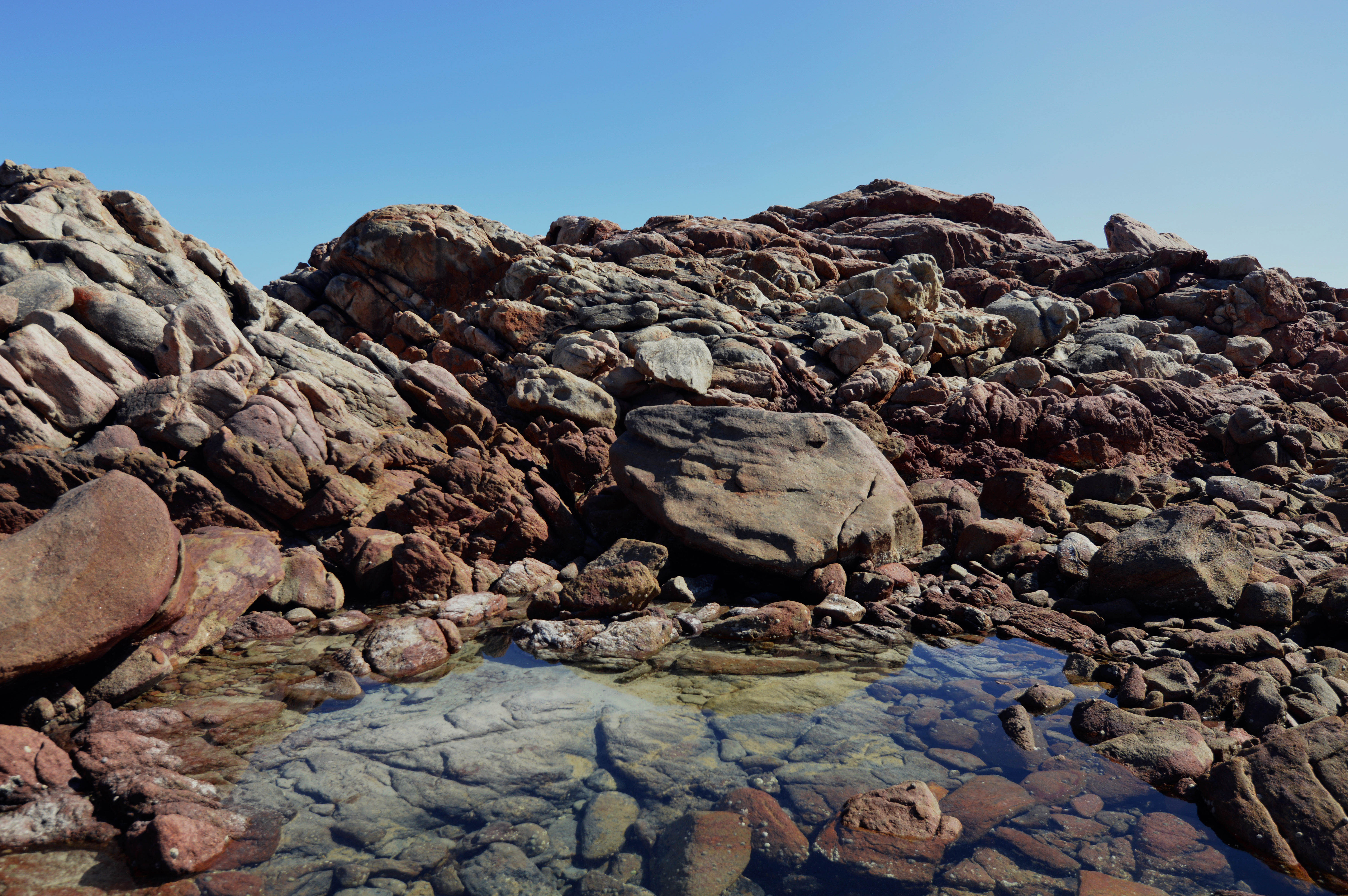 a tidepool